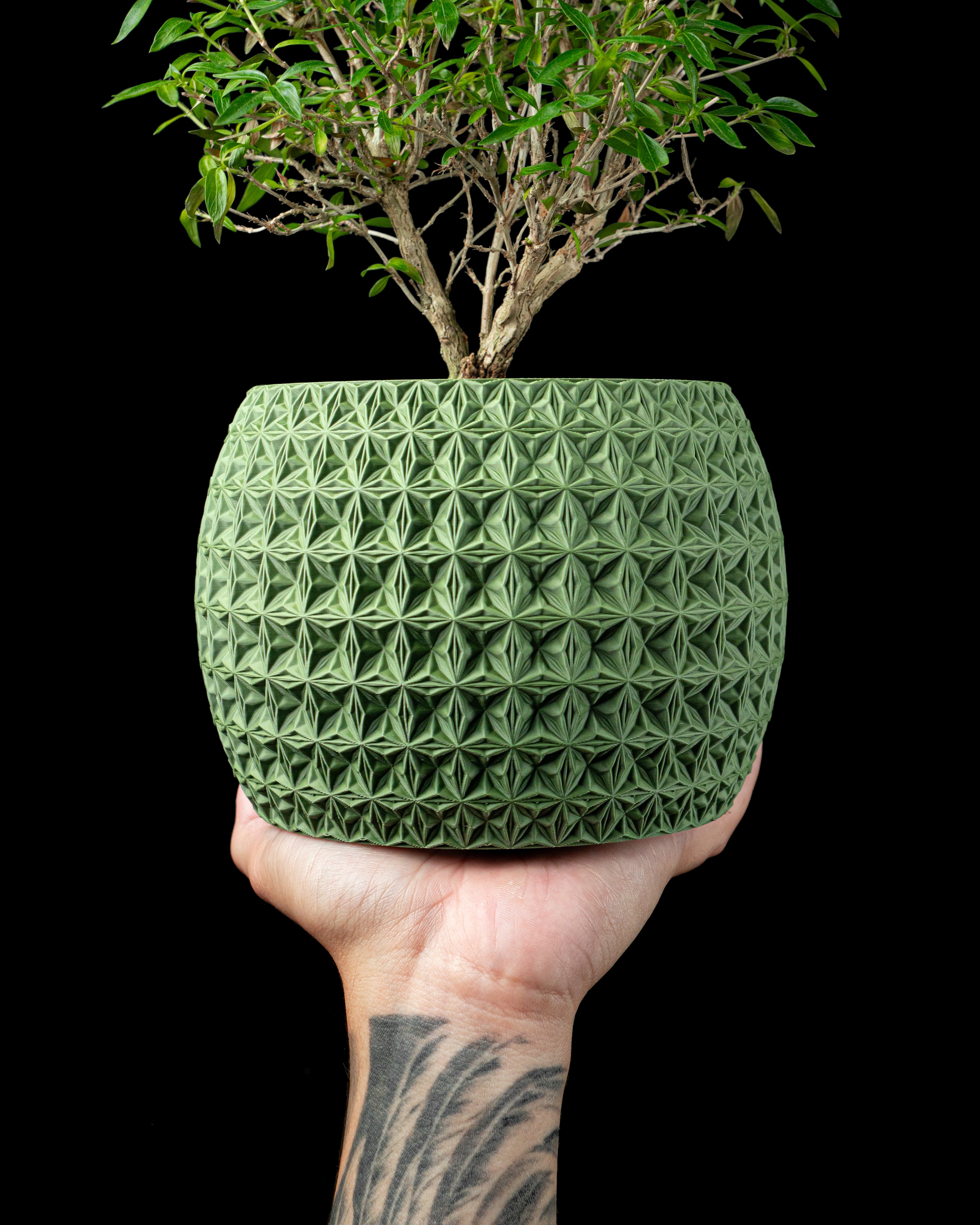 Burst Planter Pot