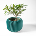 Unis Planter