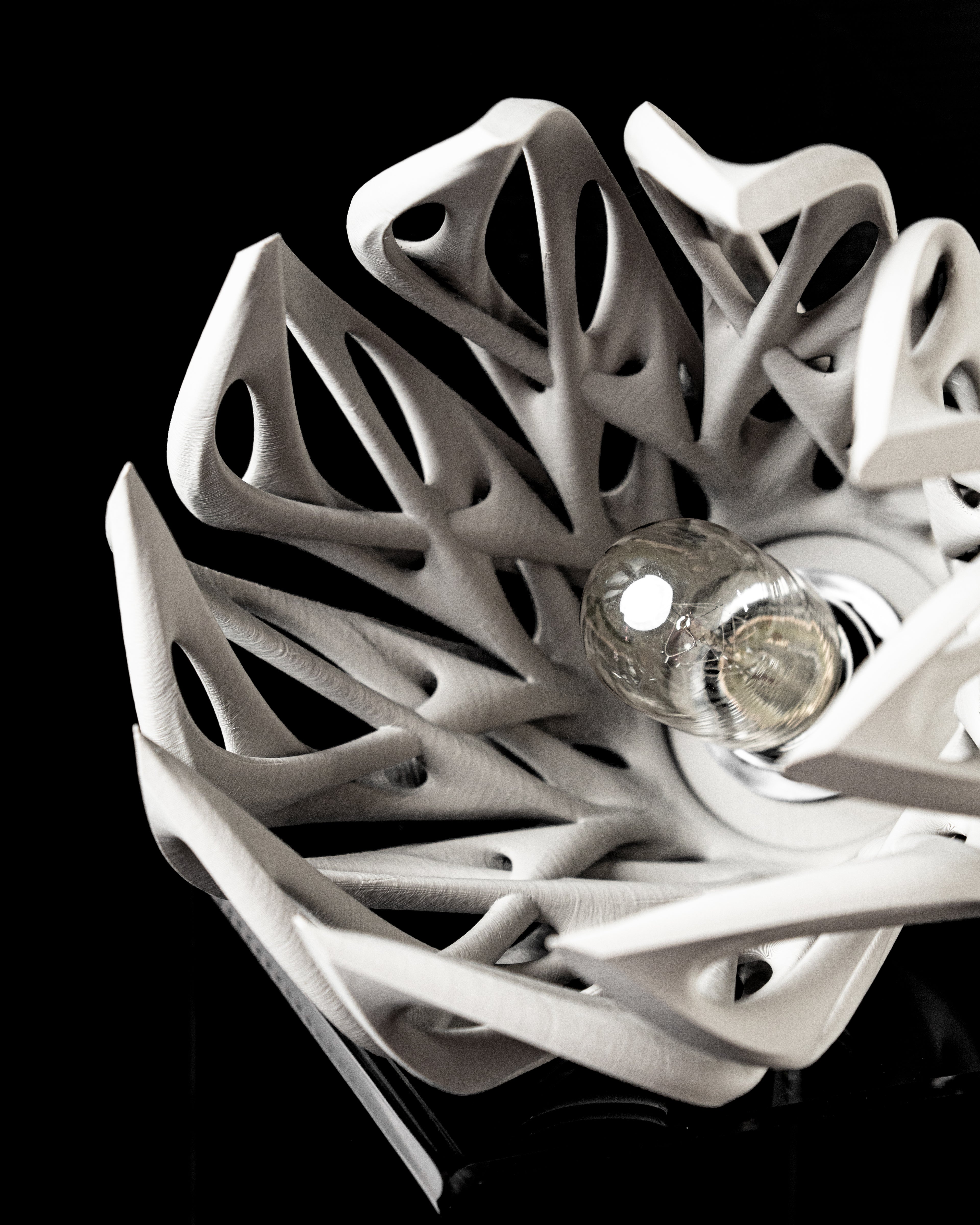Mantis Pendant Lamp