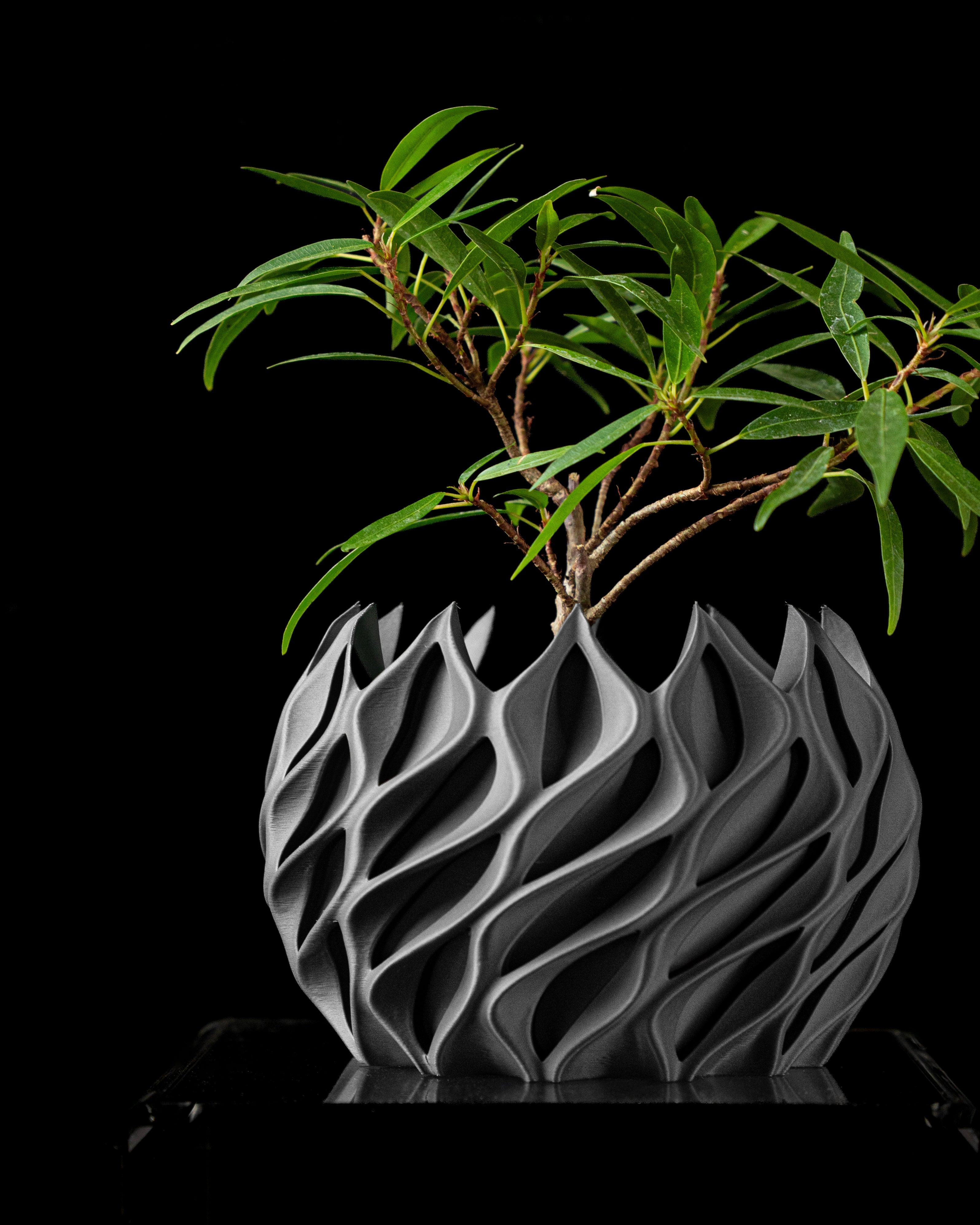 Twisted Planter Pot