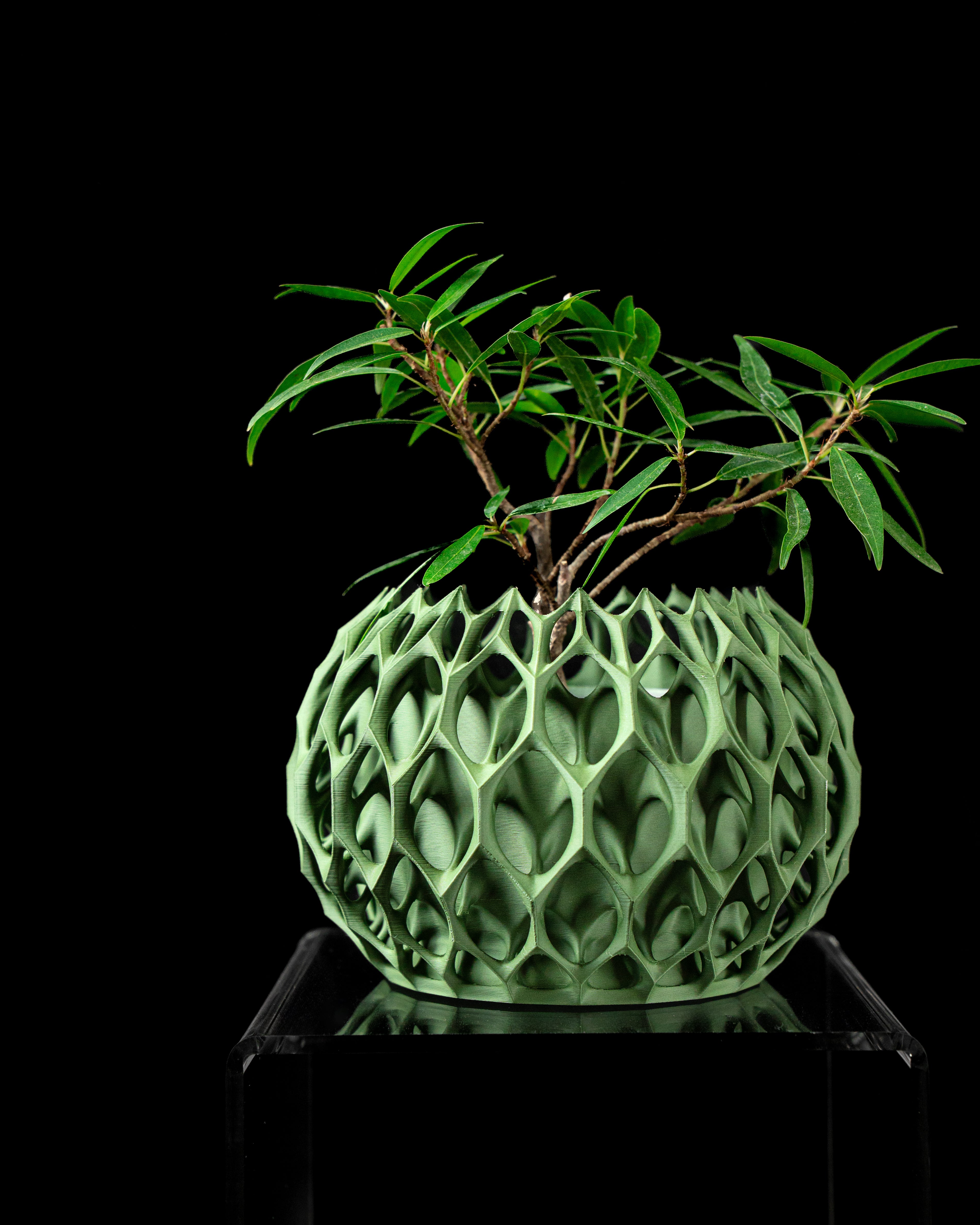 Invader Planter 02