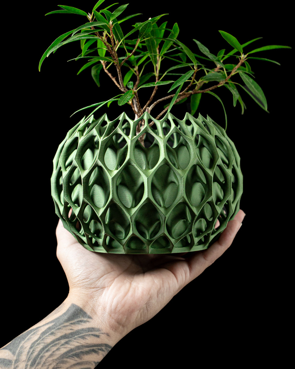Invader Planter 02