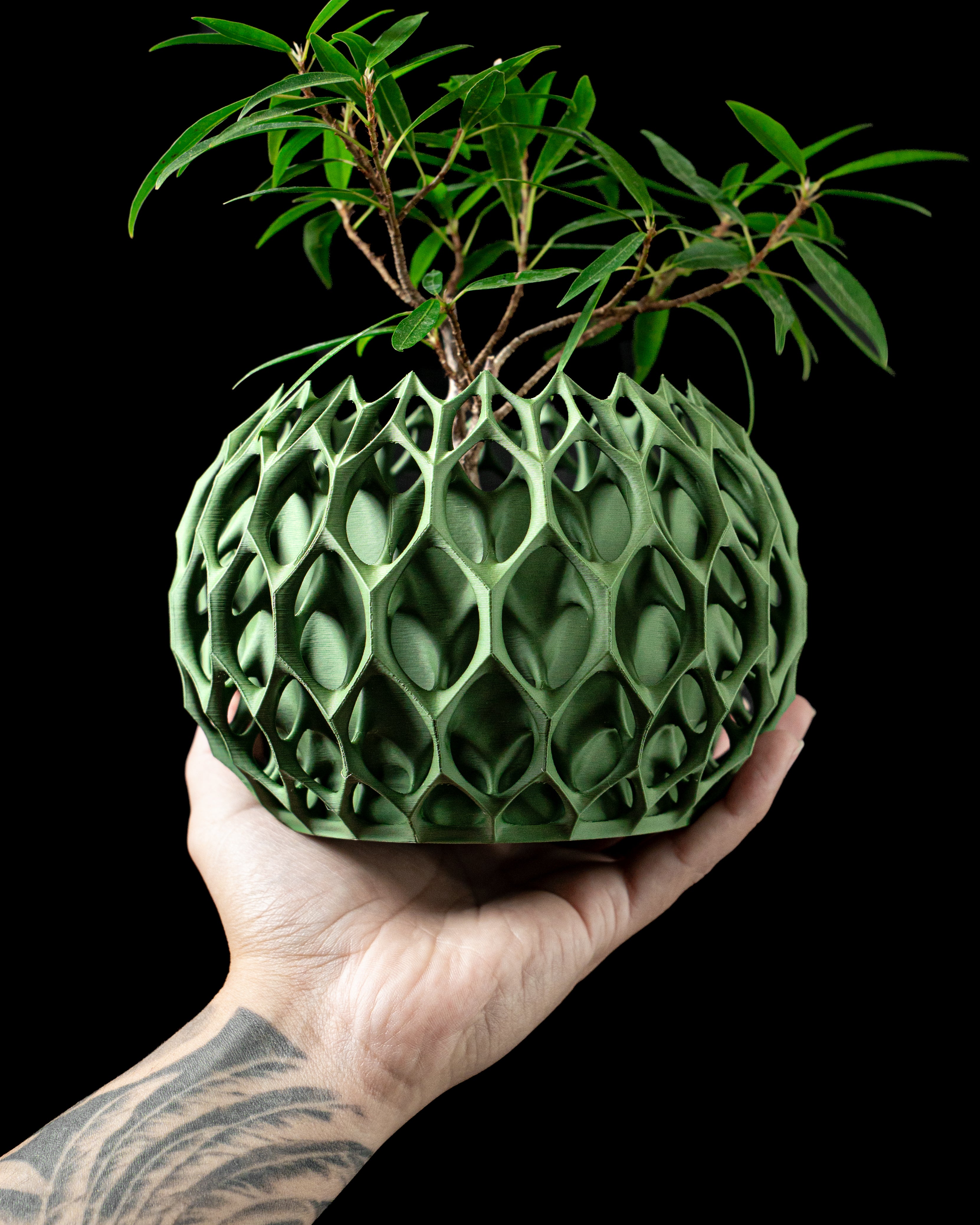 Invader Planter 02
