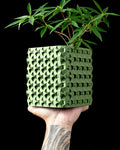 Rovi square planter