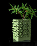 Rovi square planter