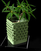 Rovi square planter