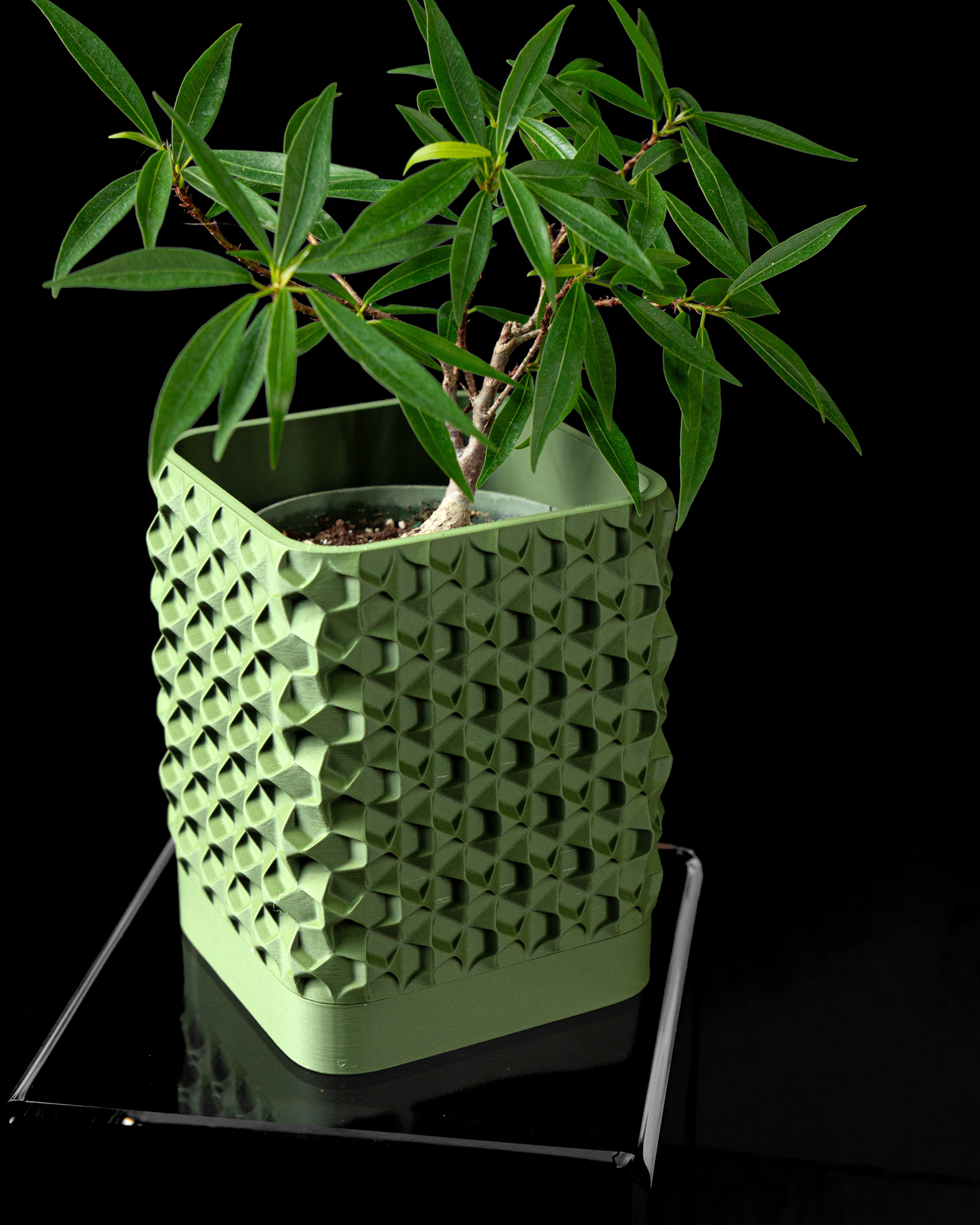 Rovi square planter