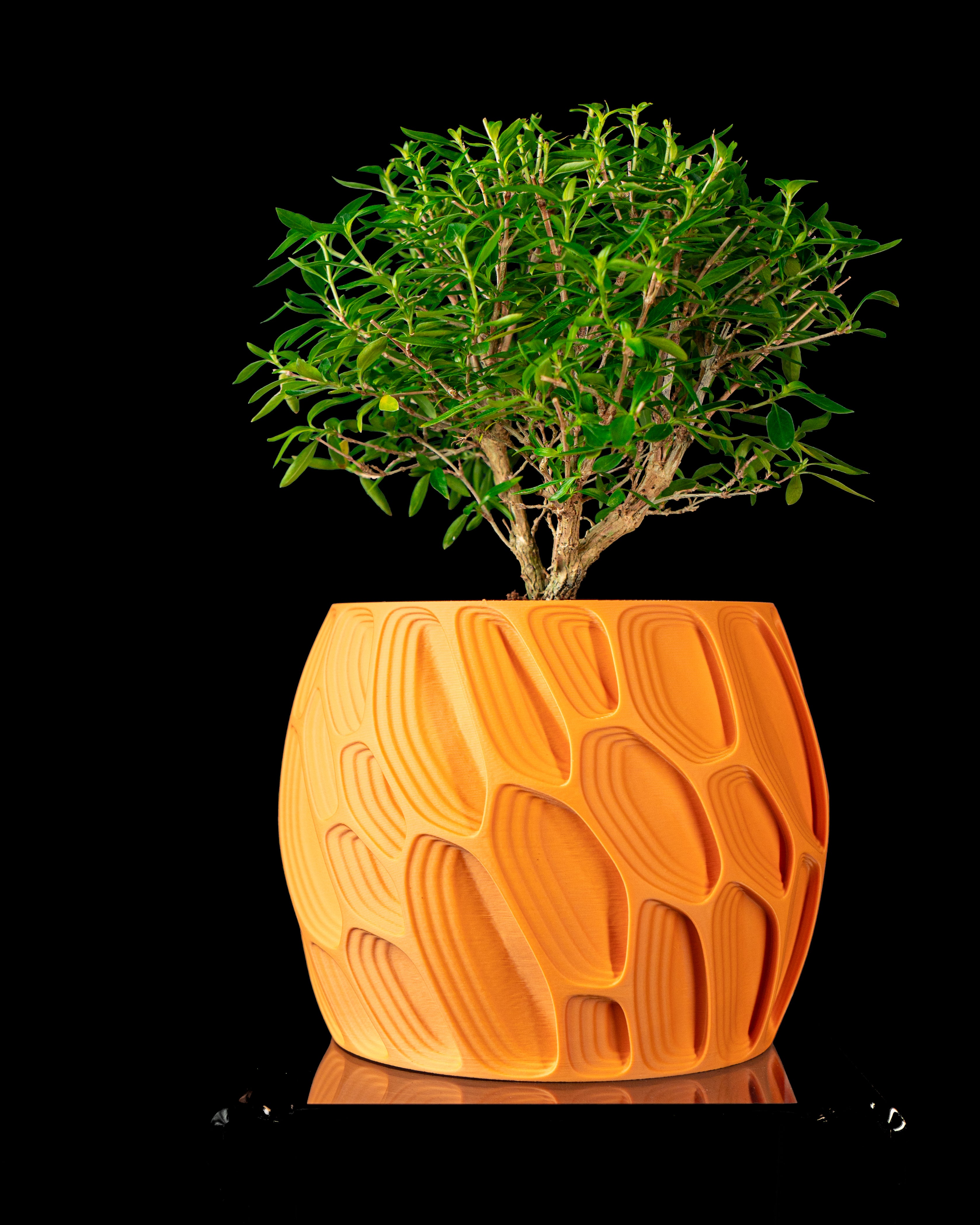 Ringo Planter