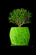 Ringo Planter