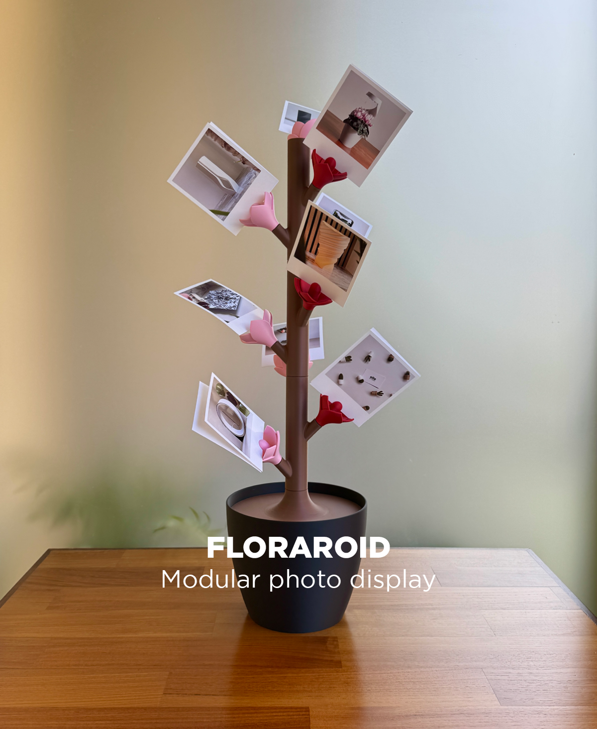 Floraroid - Modular Photo Display Stand