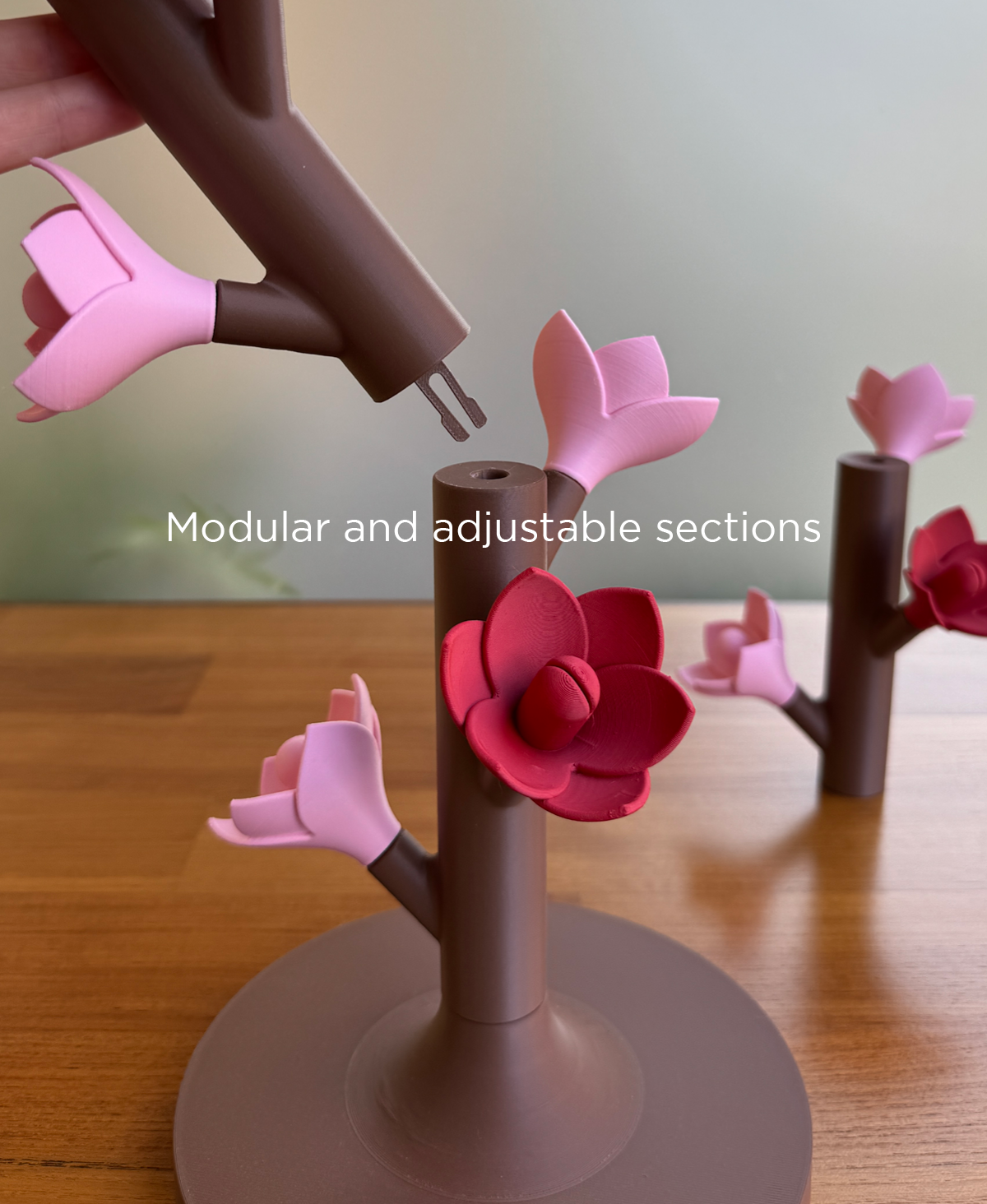 Floraroid - Modular Photo Display Stand