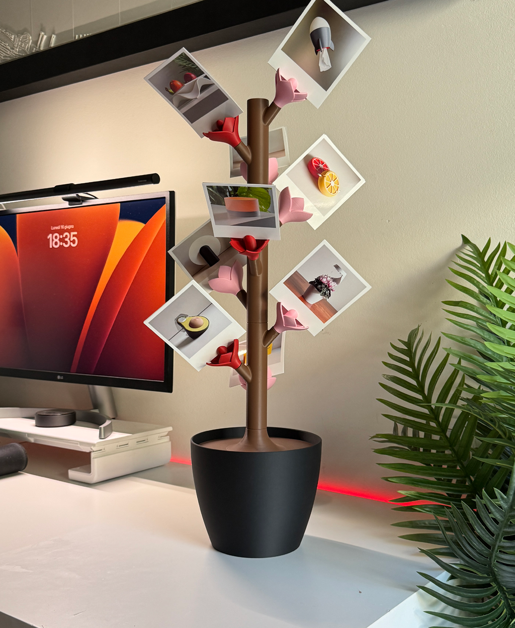 Floraroid - Modular Photo Display Stand