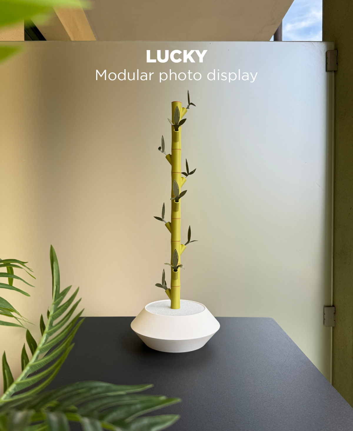 Lucky - Modular Photo Display